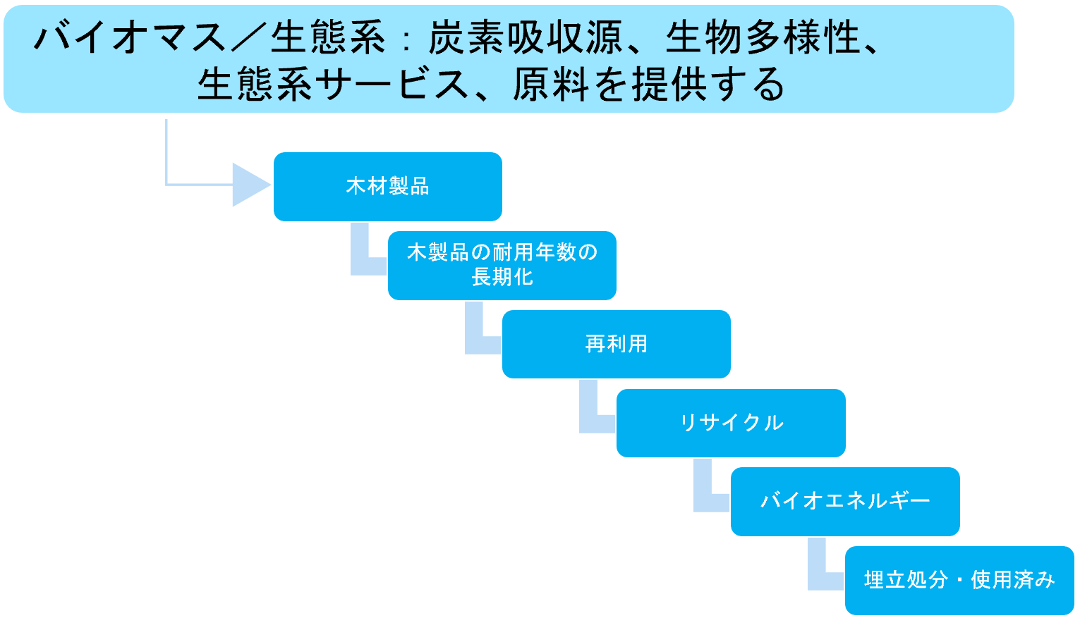 バイオマスのカスケード利用（レポートより）