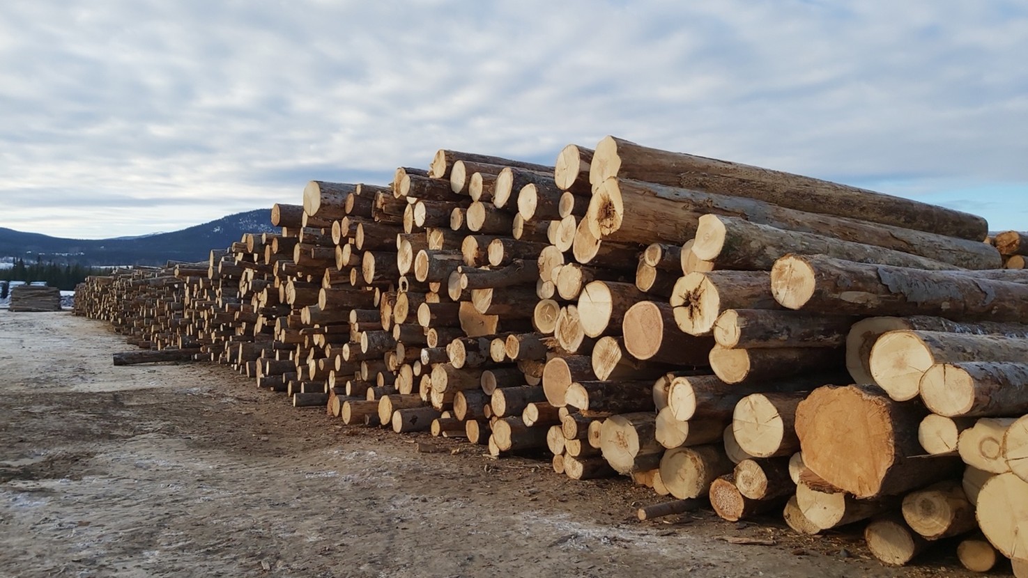 SBP認証取得済みのドラックス社ペレット工場に山積みされた丸太（カナダBC州） © Len Vanderstar