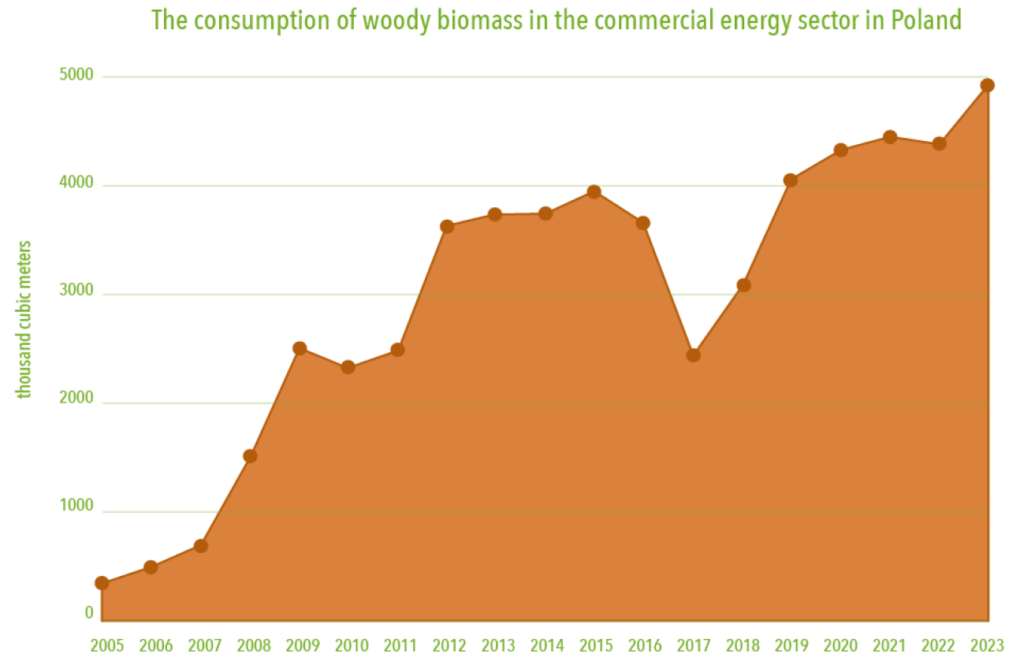 図2:ポーランドの商業エネルギー部門における木質バイオマス消費量(千立方メートル)の推移 出典:Workshop for All Beings(2025年)